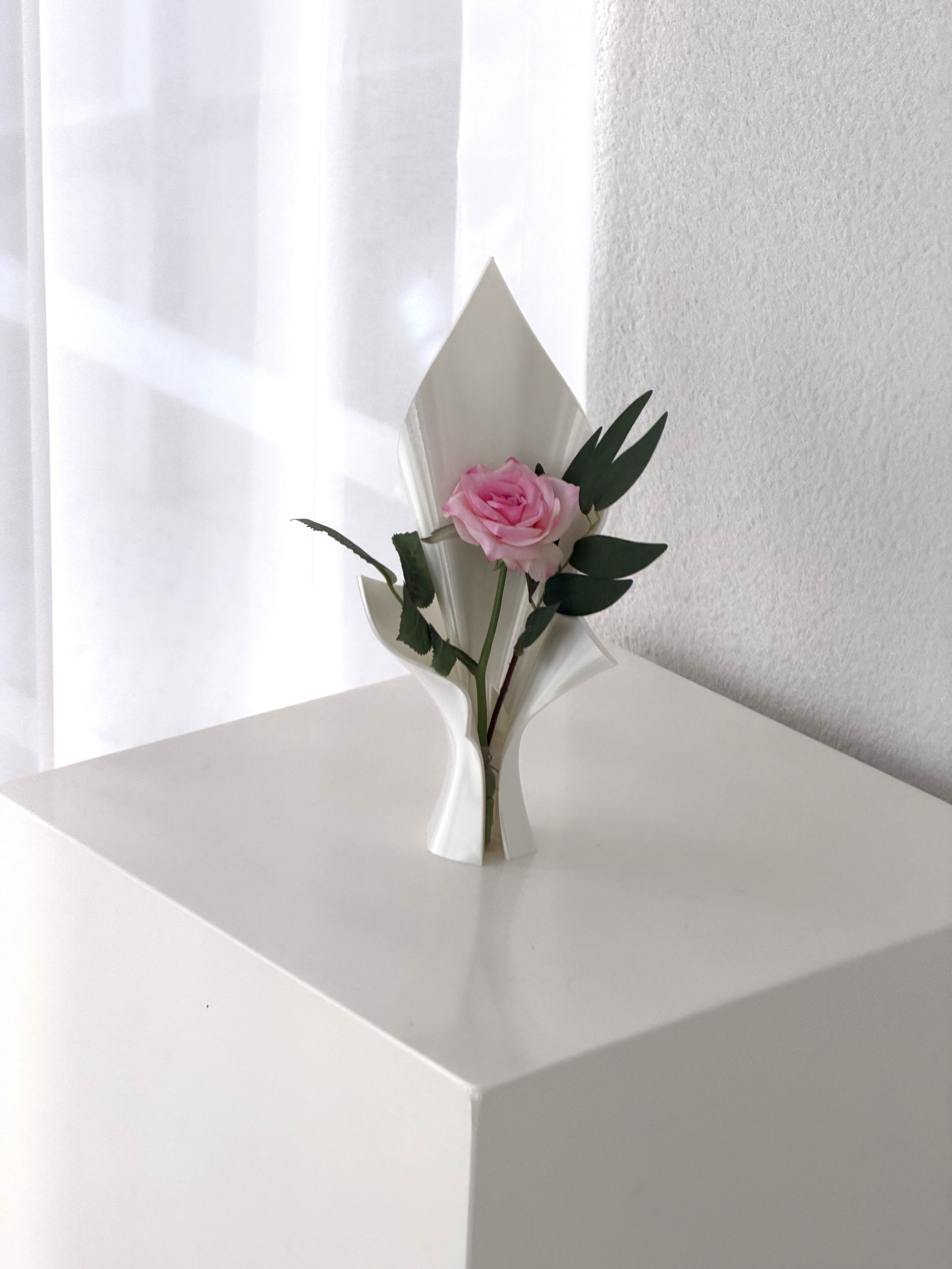 Single Vase